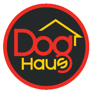 Dog Haus Pasadena